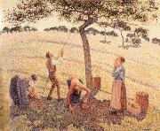 Camille Pissarro Apple picking at Eragny-sur-Epte painting